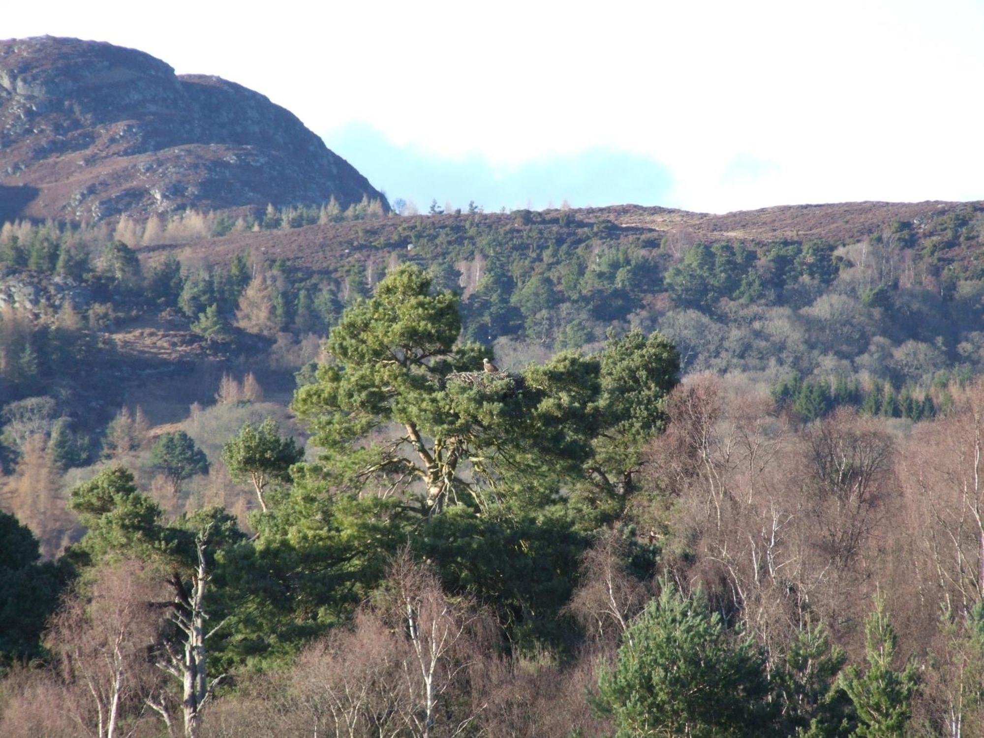 Kinloch House Hotel Blairgowrie and Rattray Esterno foto