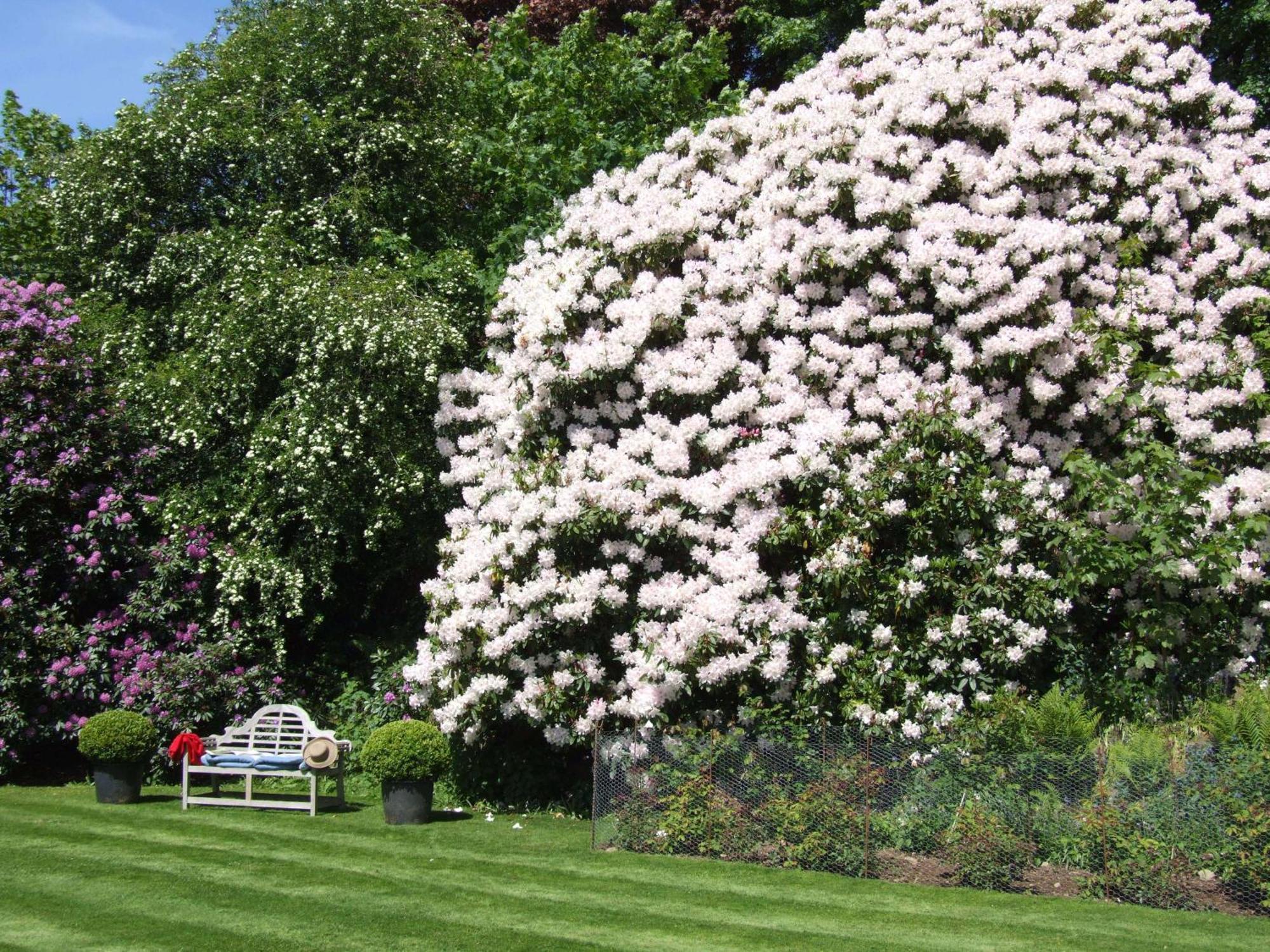 Kinloch House Hotel Blairgowrie and Rattray Esterno foto